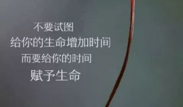 激励人心的短视频,共赴辉煌——激励人心的短视频启示录